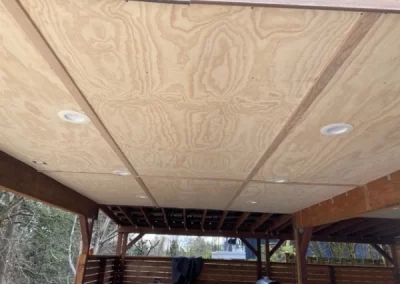 Professional Remodeler